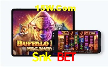 Estatísticas Snk Bet
