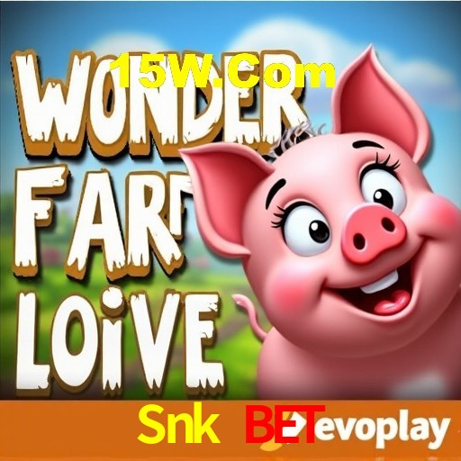 Interface do App Snk Bet