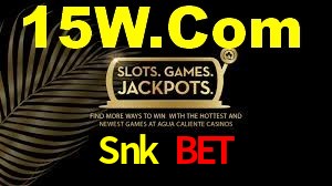 Experimente o Login Seguro Premium no Snk Bet