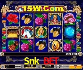 Provedores de Jogos Snk Bet