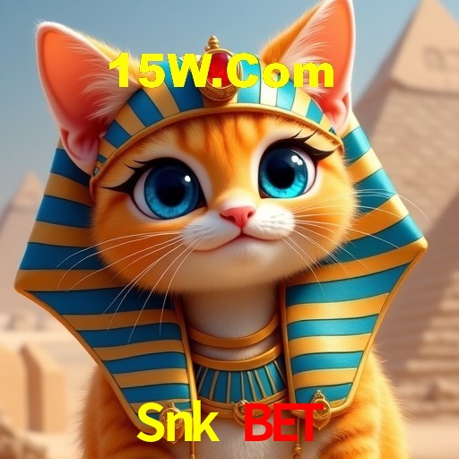 Interface Premium Snk Bet